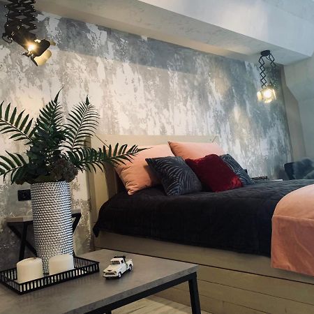 Studio Lux Loft On Victory Street In The City Center 文尼察 外观 照片