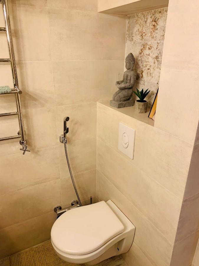 Studio Lux Loft On Victory Street In The City Center 文尼察 外观 照片
